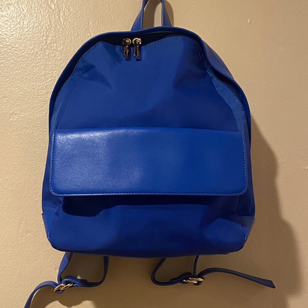 Vibrant Blue Backpack